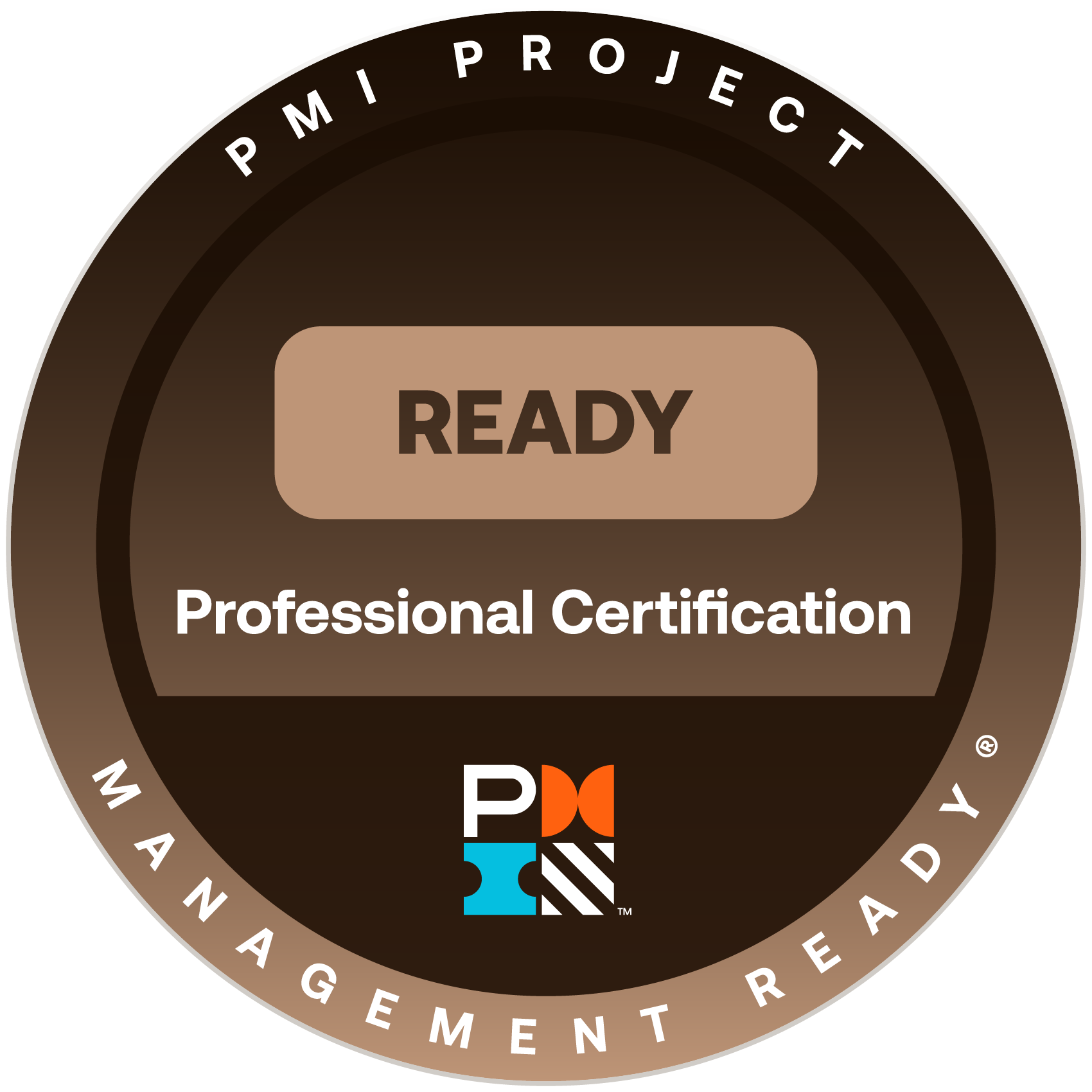 PMI Project Management Ready